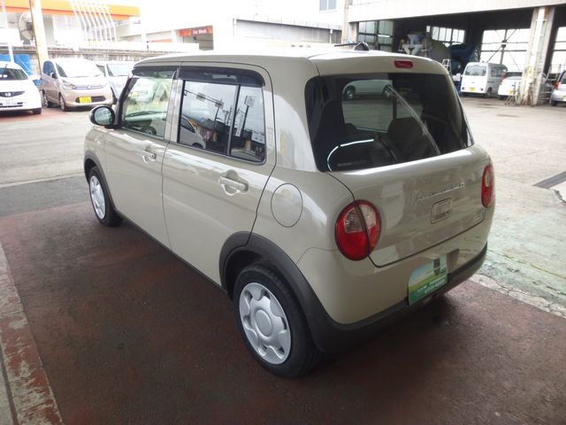 13250052