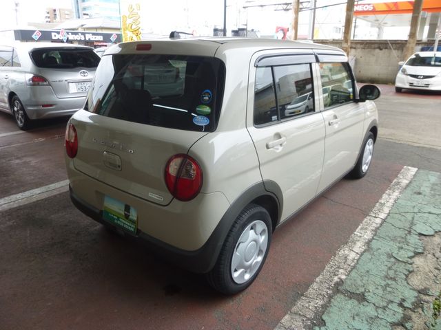 13250052