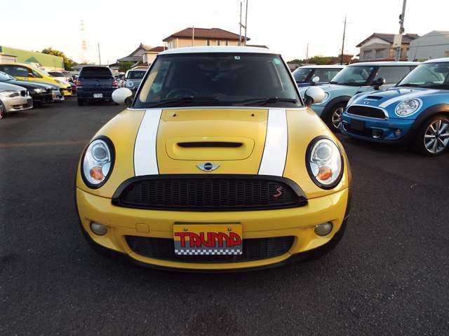 13500038
