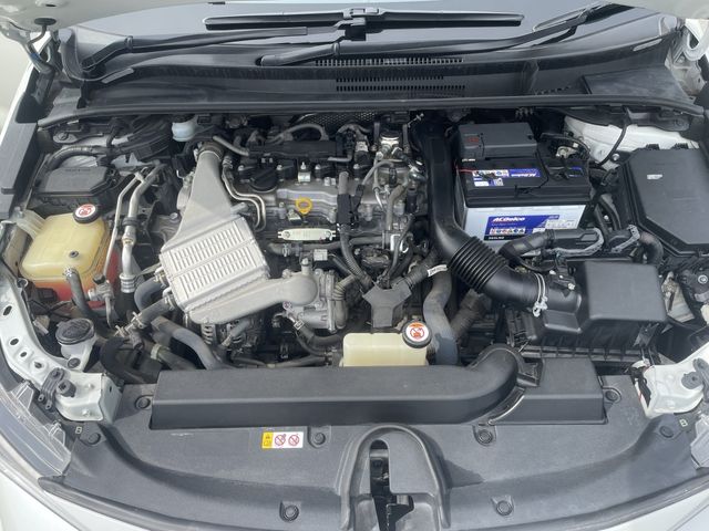 13550246