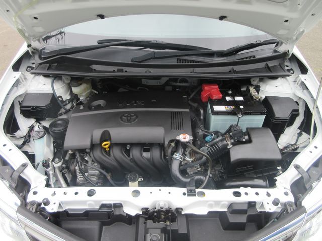 13620066