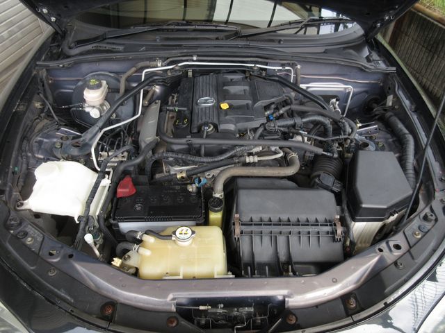 13650079