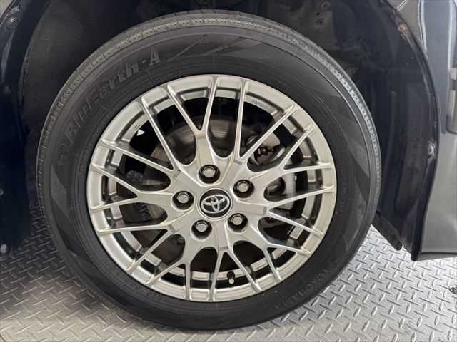 13765731