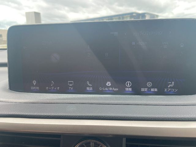 13950119