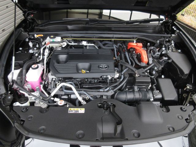 14150074