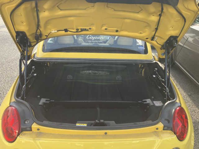 14190067
