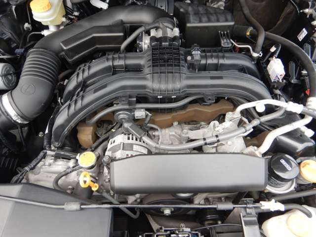 14262337