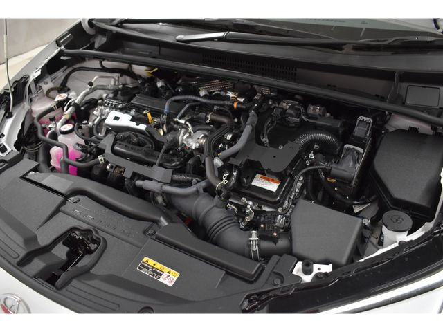 14320129