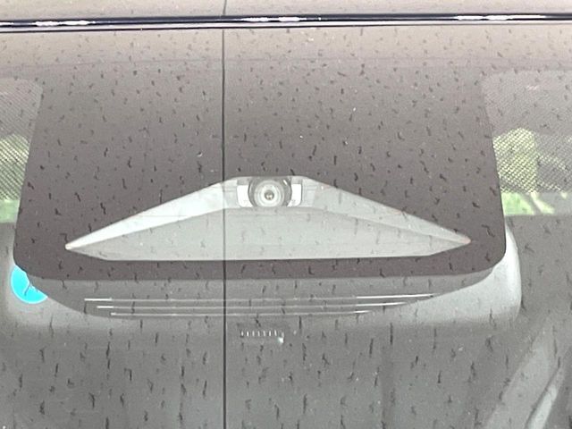 14561061