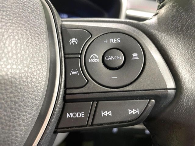 14561061
