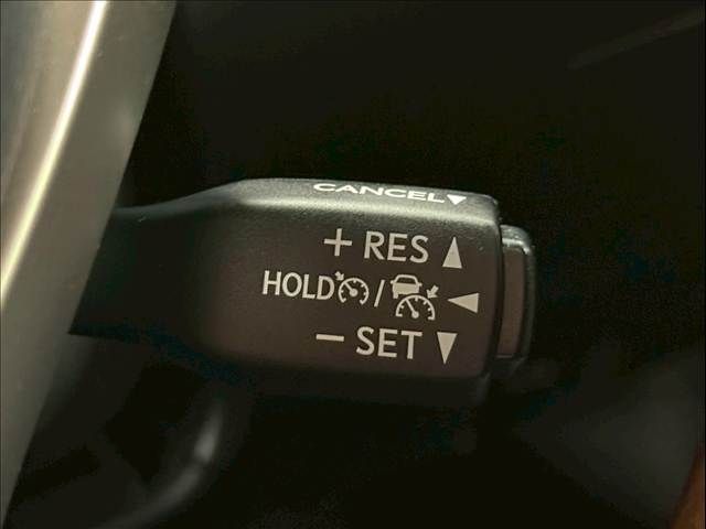 14561588