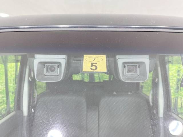 15062436