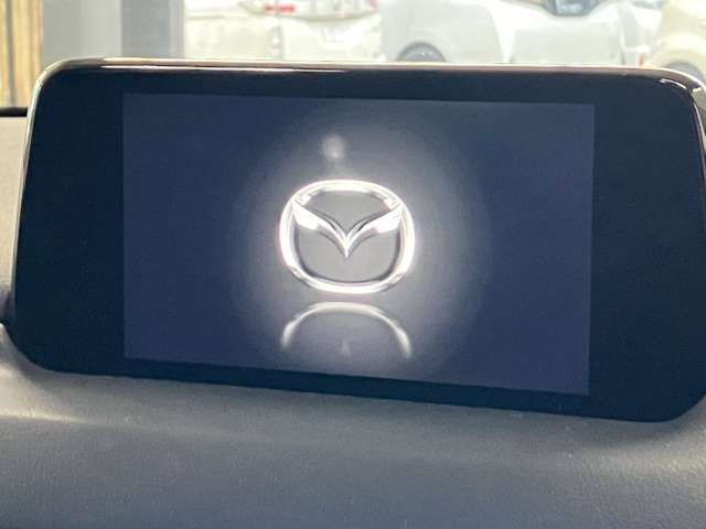 15067447
