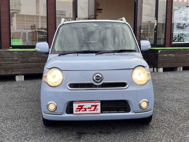 15165254