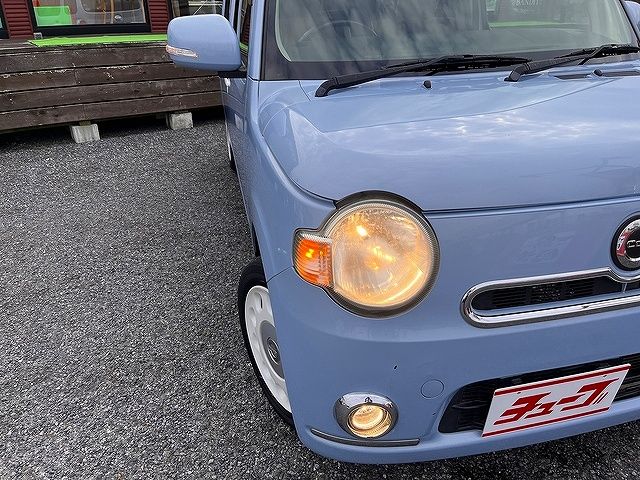 15165254