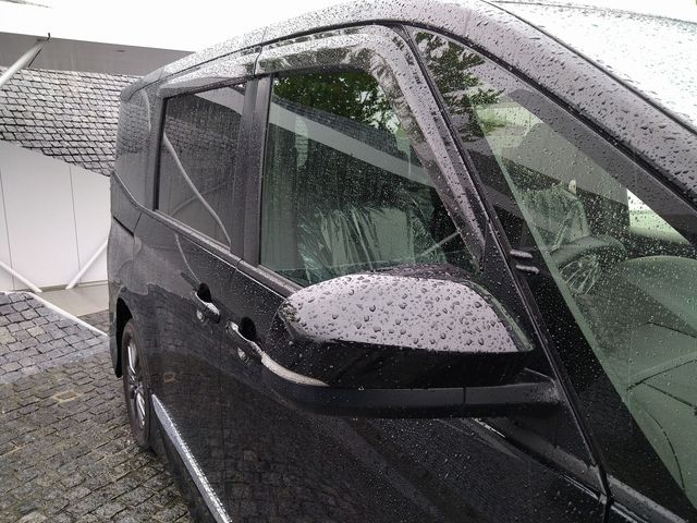 15250082