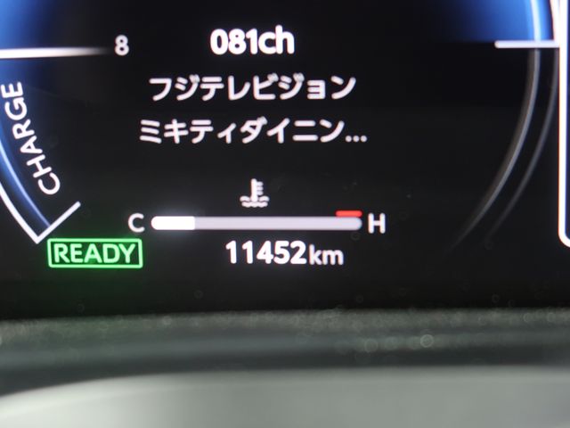 15250290