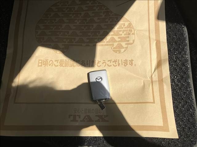 15266319