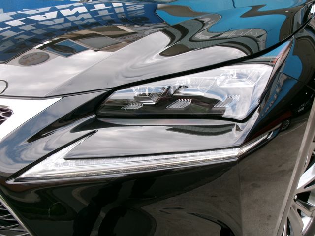 15350159