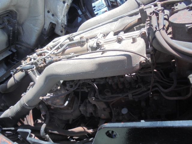 15450156