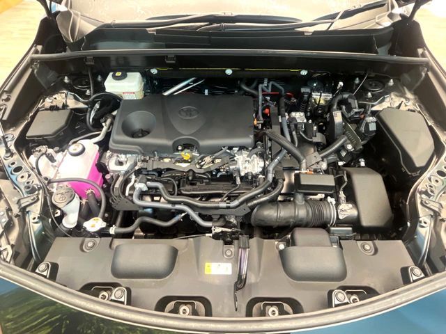 15462438