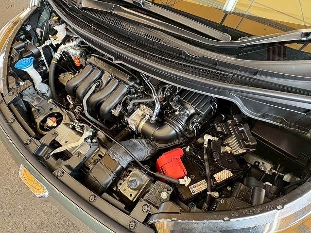 15462545