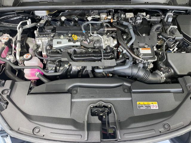 15462629