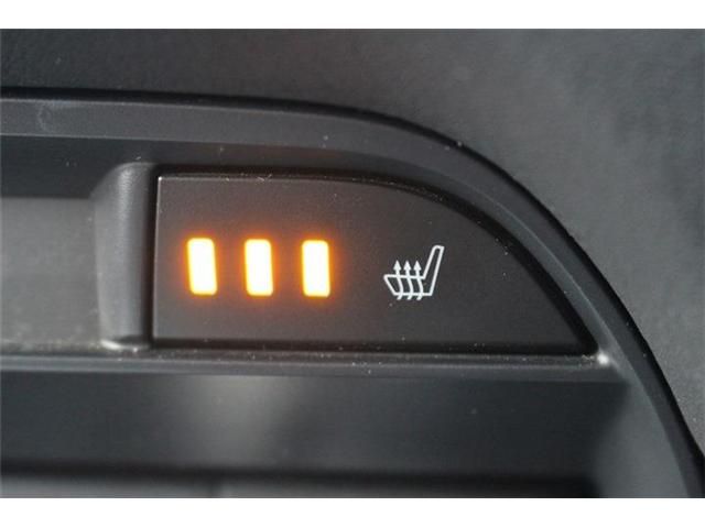 15466304
