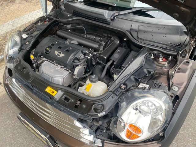 15500082