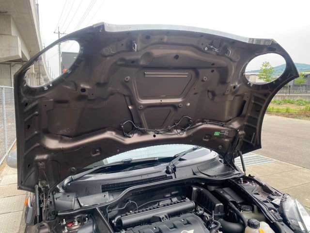 15500082