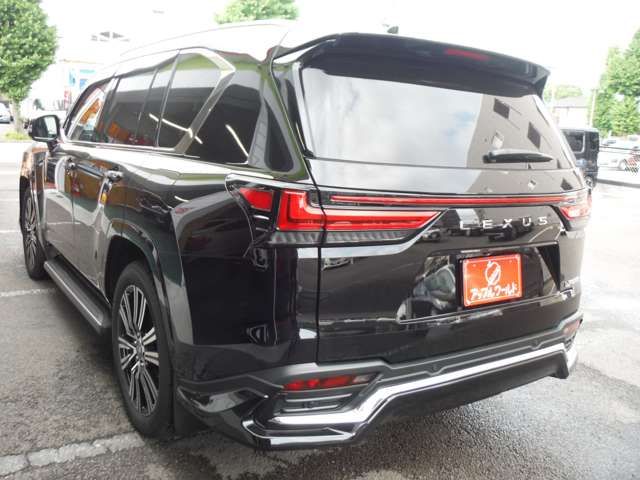 15500091