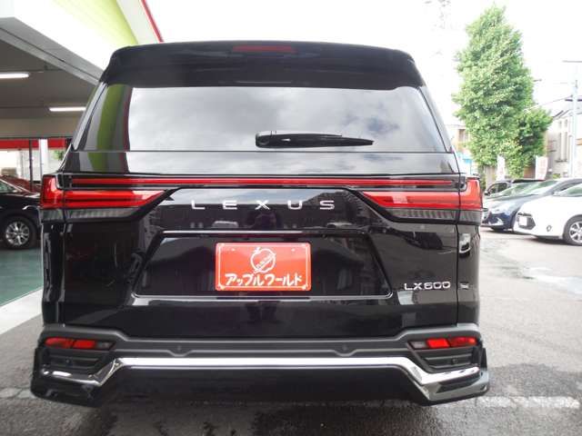 15500091
