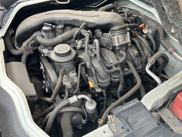 15550138