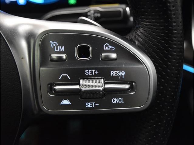 15550206