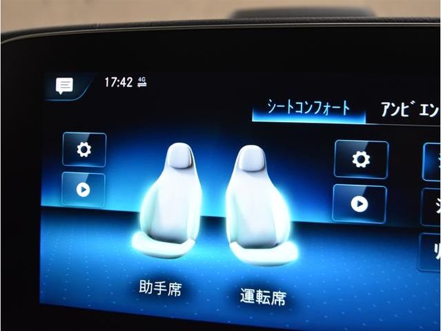 15550206