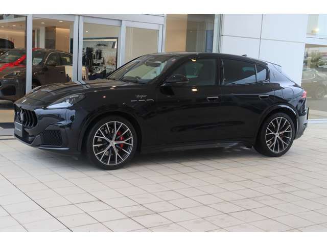 15560084