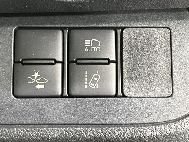 15560556