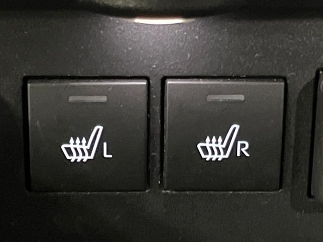 15560568