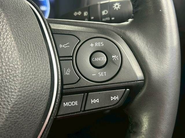 15560657