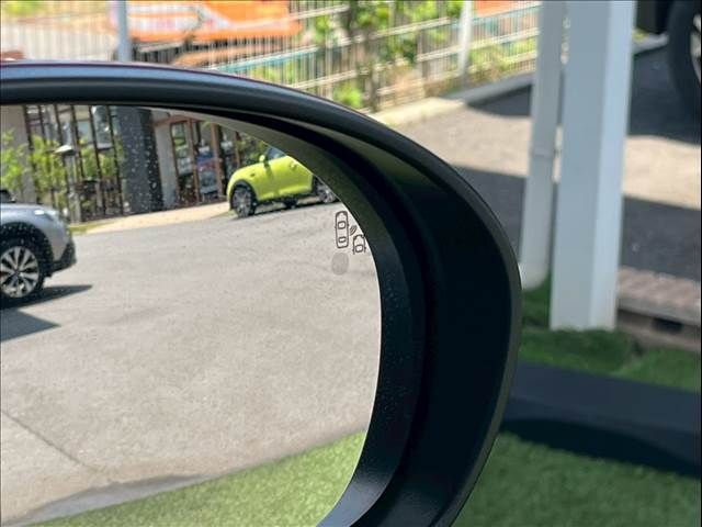 15560695