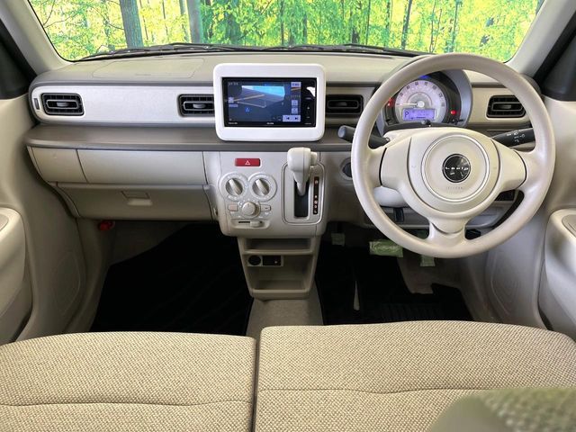 15561162