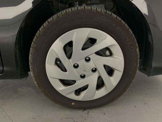 15561685