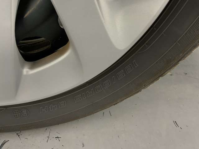 15561685