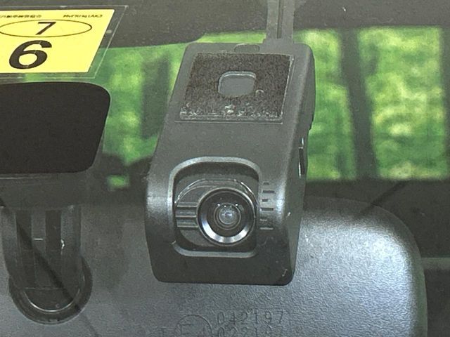 15561838