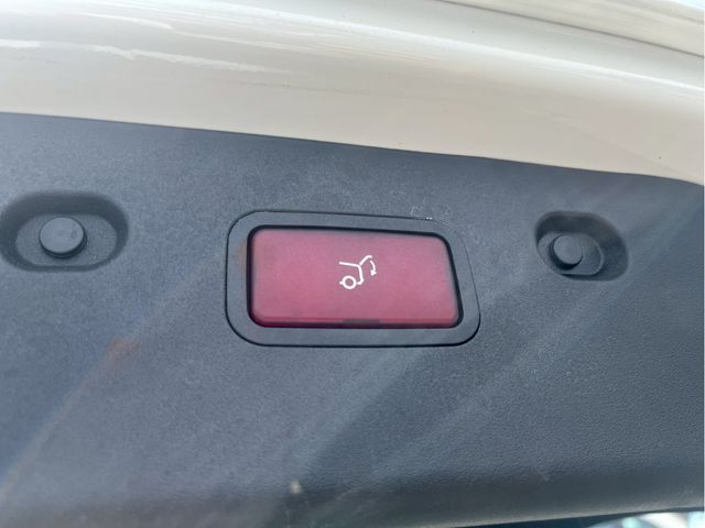 15561849