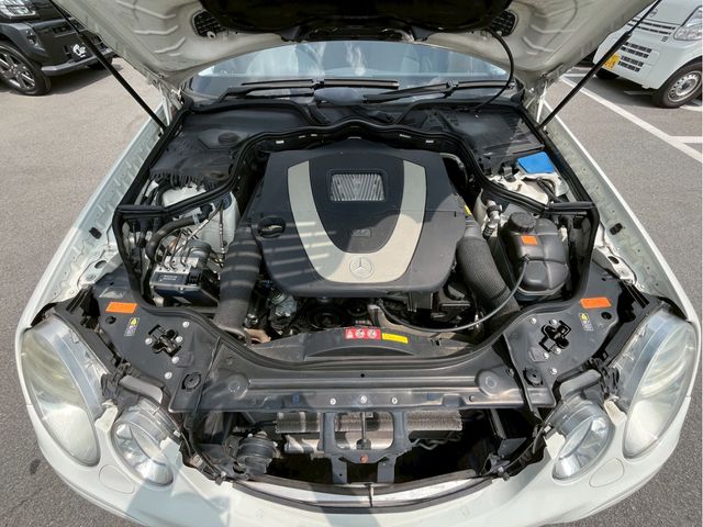 15561849