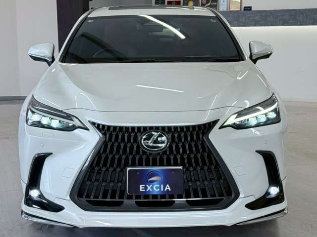 15561891