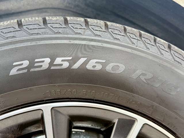 15561891