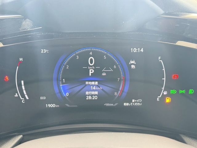 15561891