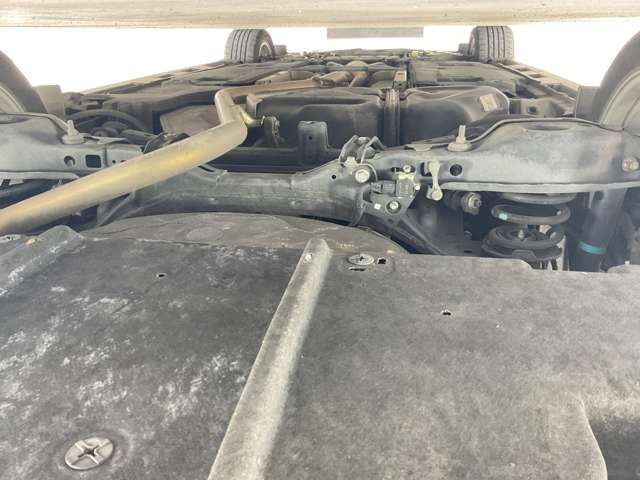15562218